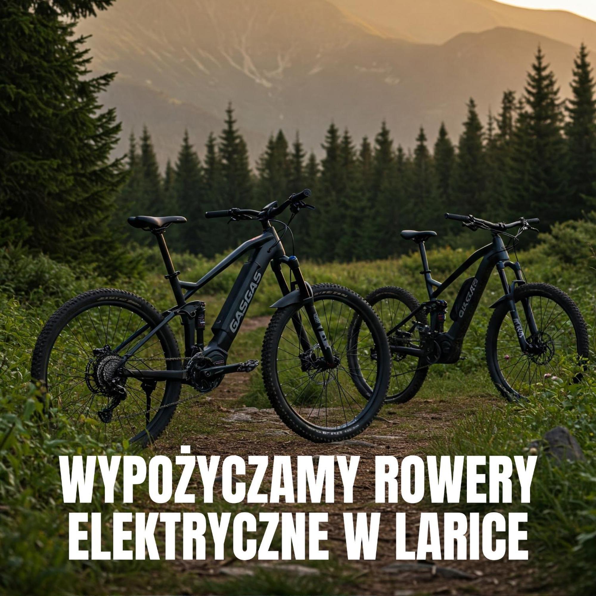 Świeradów-Zdrój Apartamenty Larice - Podgrzewany Basen, Balia I Sauna מראה חיצוני תמונה